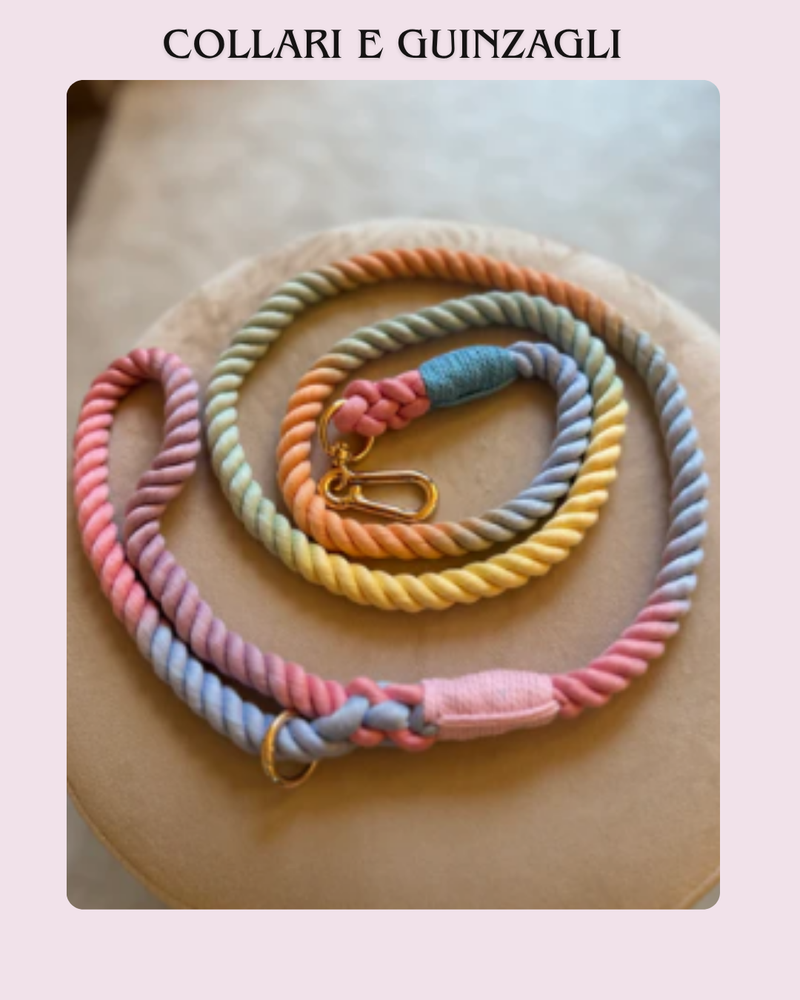 COLLARI E GUINZAGLI