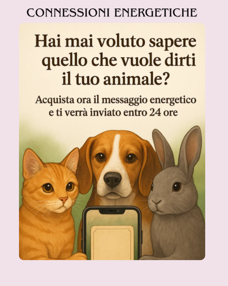 BOX CONNESSIONE ENERGETICA / LETTURE