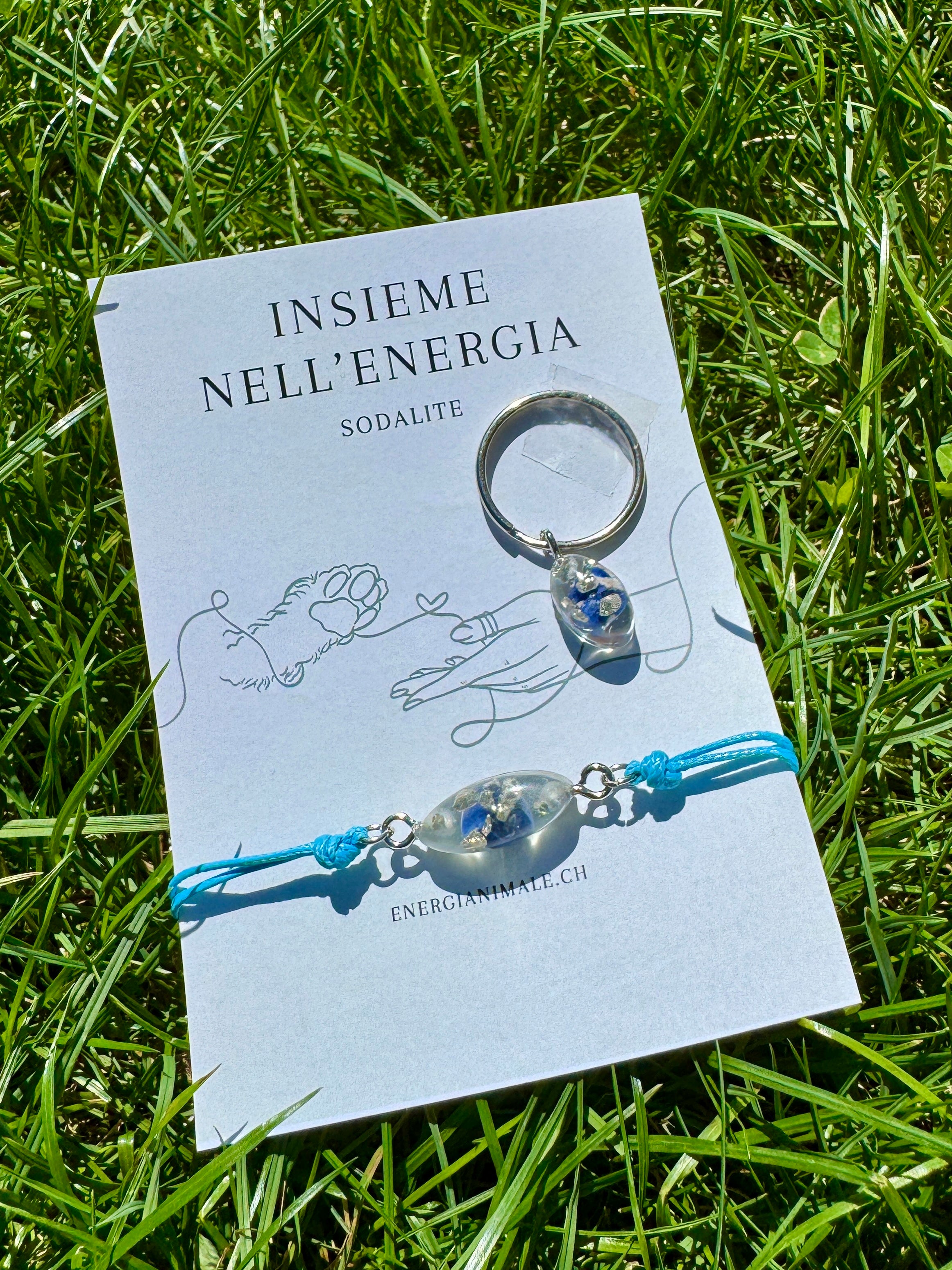 Insieme nell’Energia – Set umano & animale