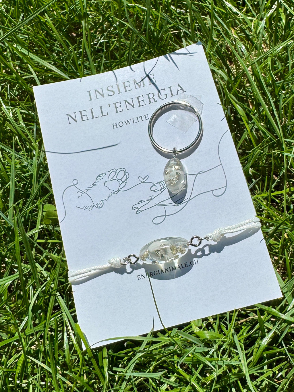 Insieme nell’Energia – Set umano & animale