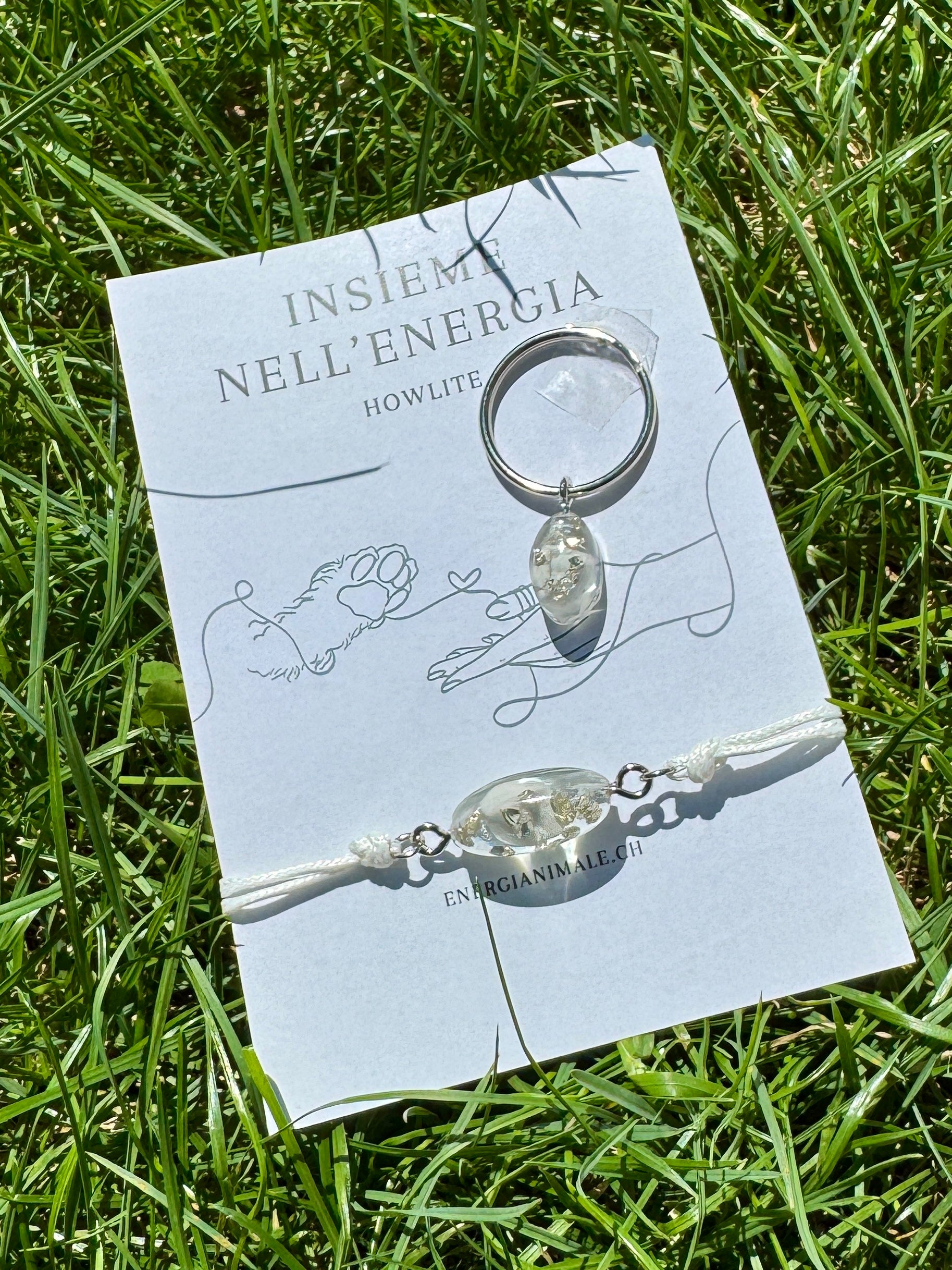 Insieme nell’Energia – Set umano & animale