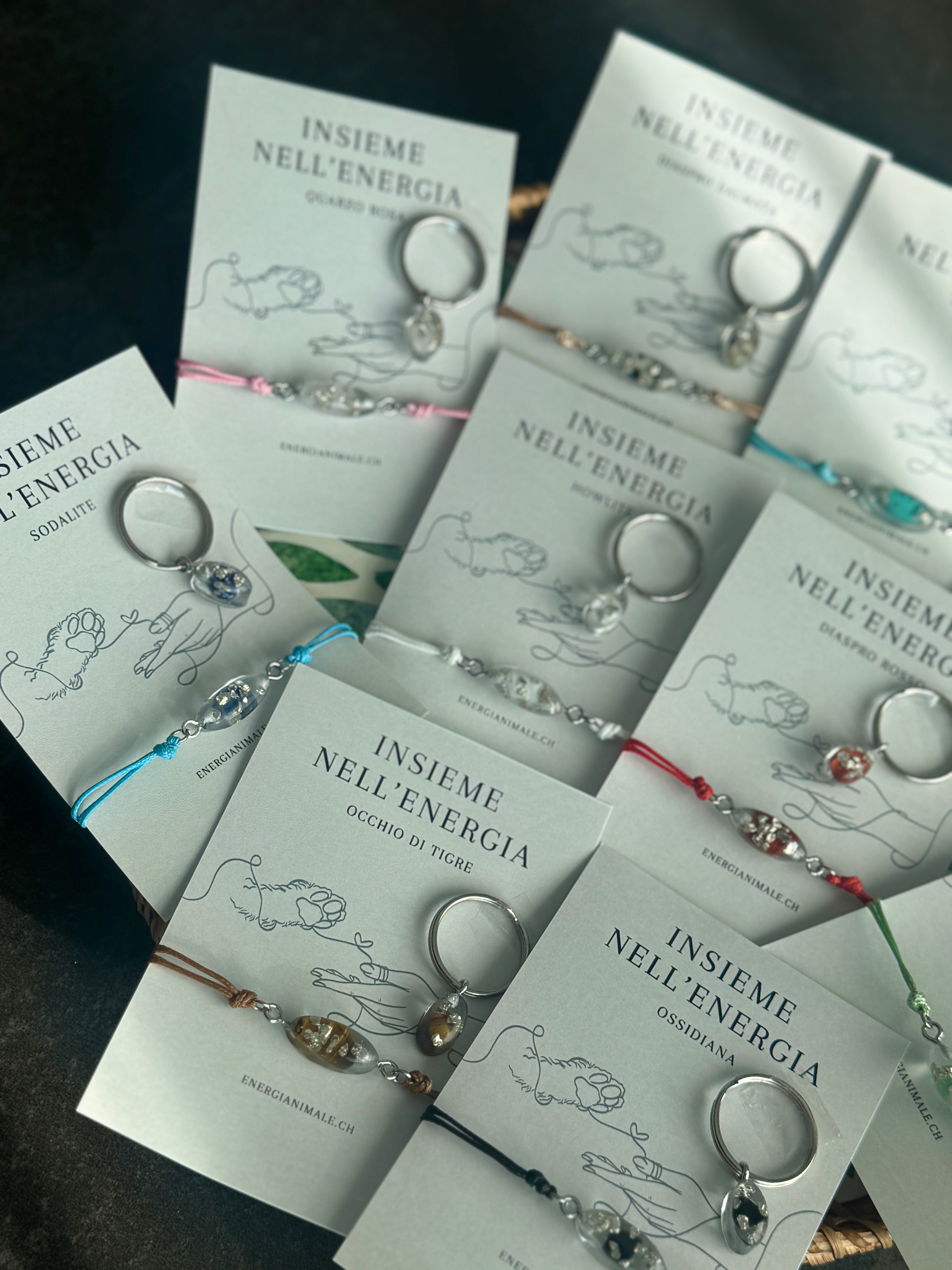 Insieme nell’Energia – Set umano & animale