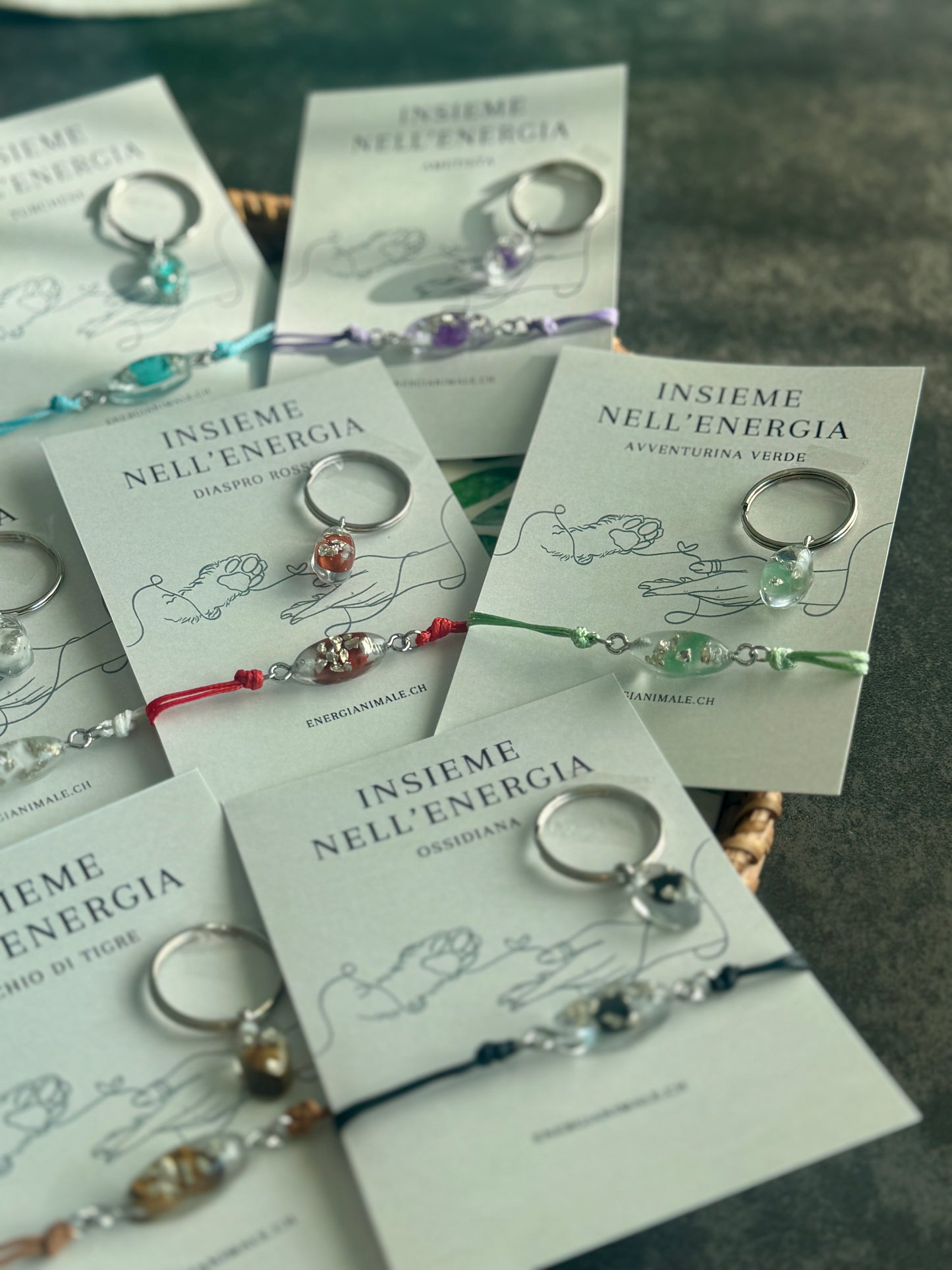 Insieme nell’Energia – Set umano & animale