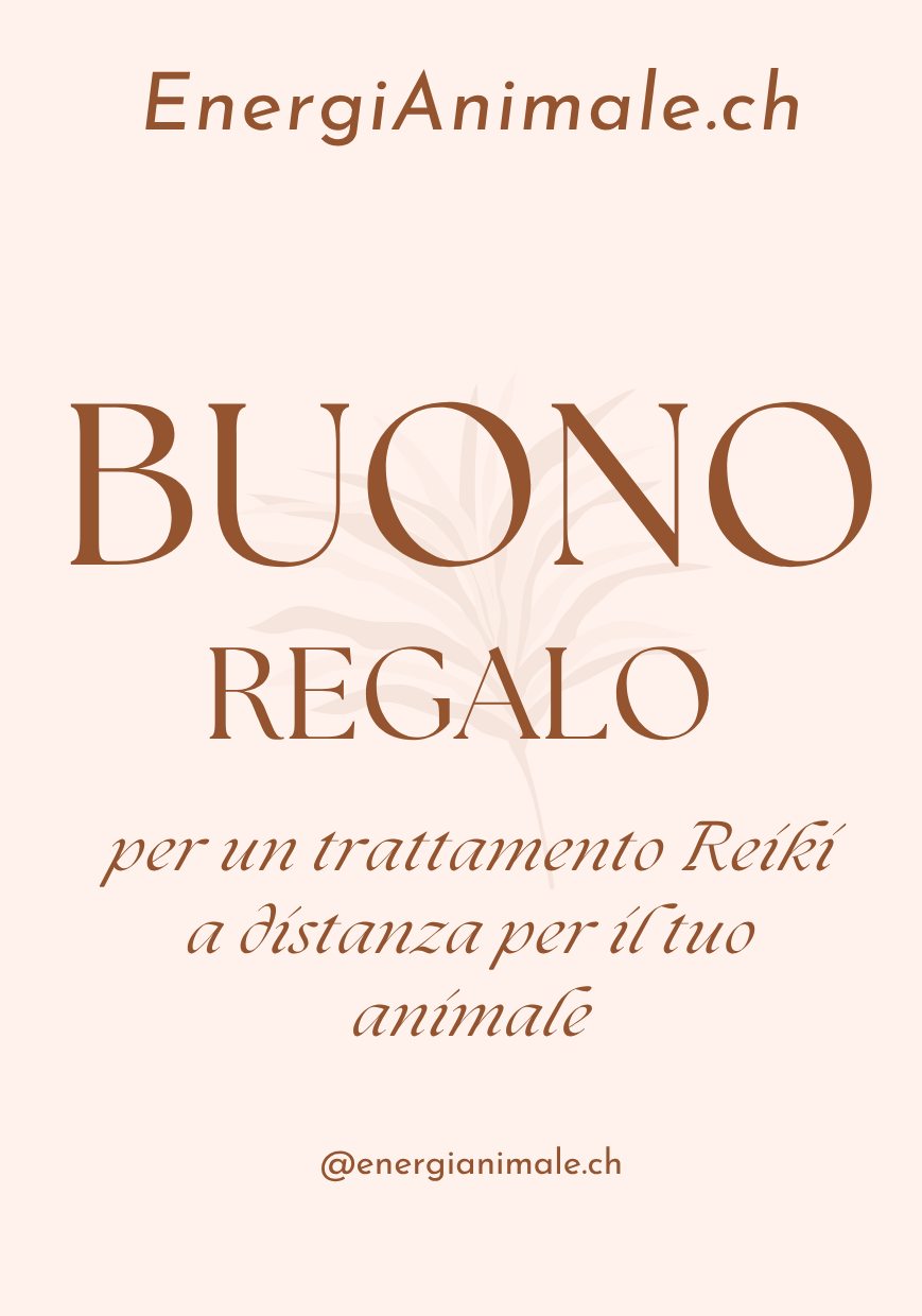 BUONO REGALO 🌿 1 Seduta Reiki per animali 🌿 (a distanza)