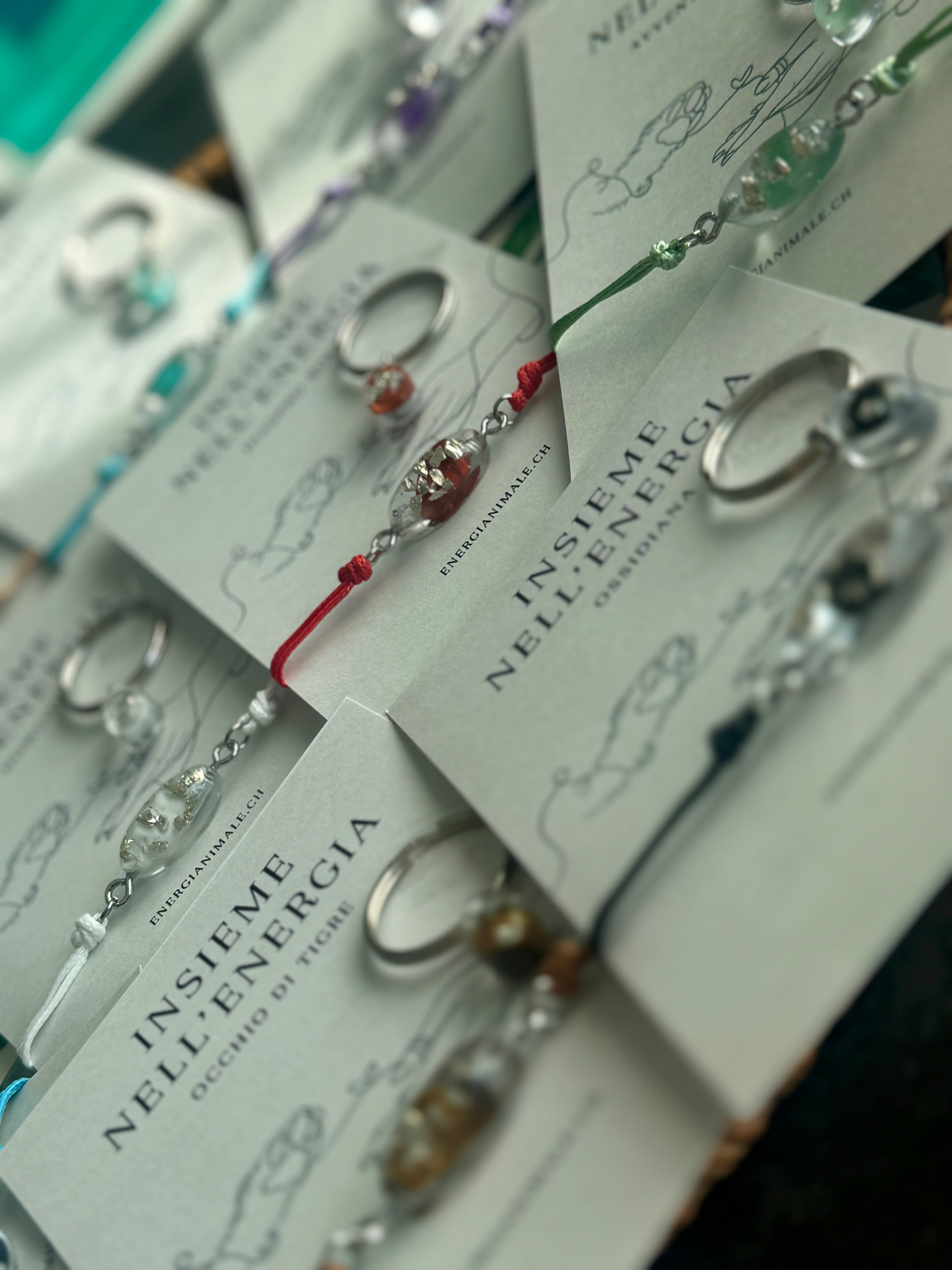 Insieme nell’Energia – Set umano & animale