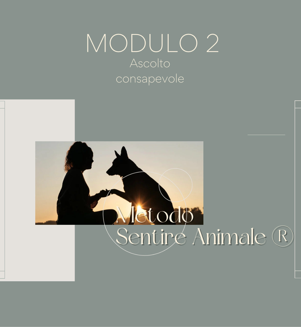 Metodo Sentire Animale® - MODULO 2