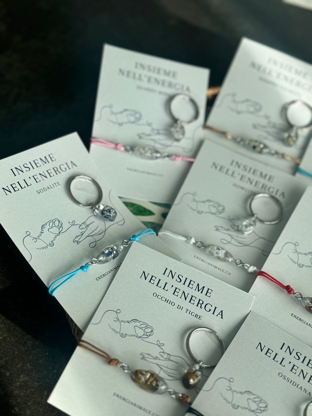 Insieme nell’Energia – Set umano & animale