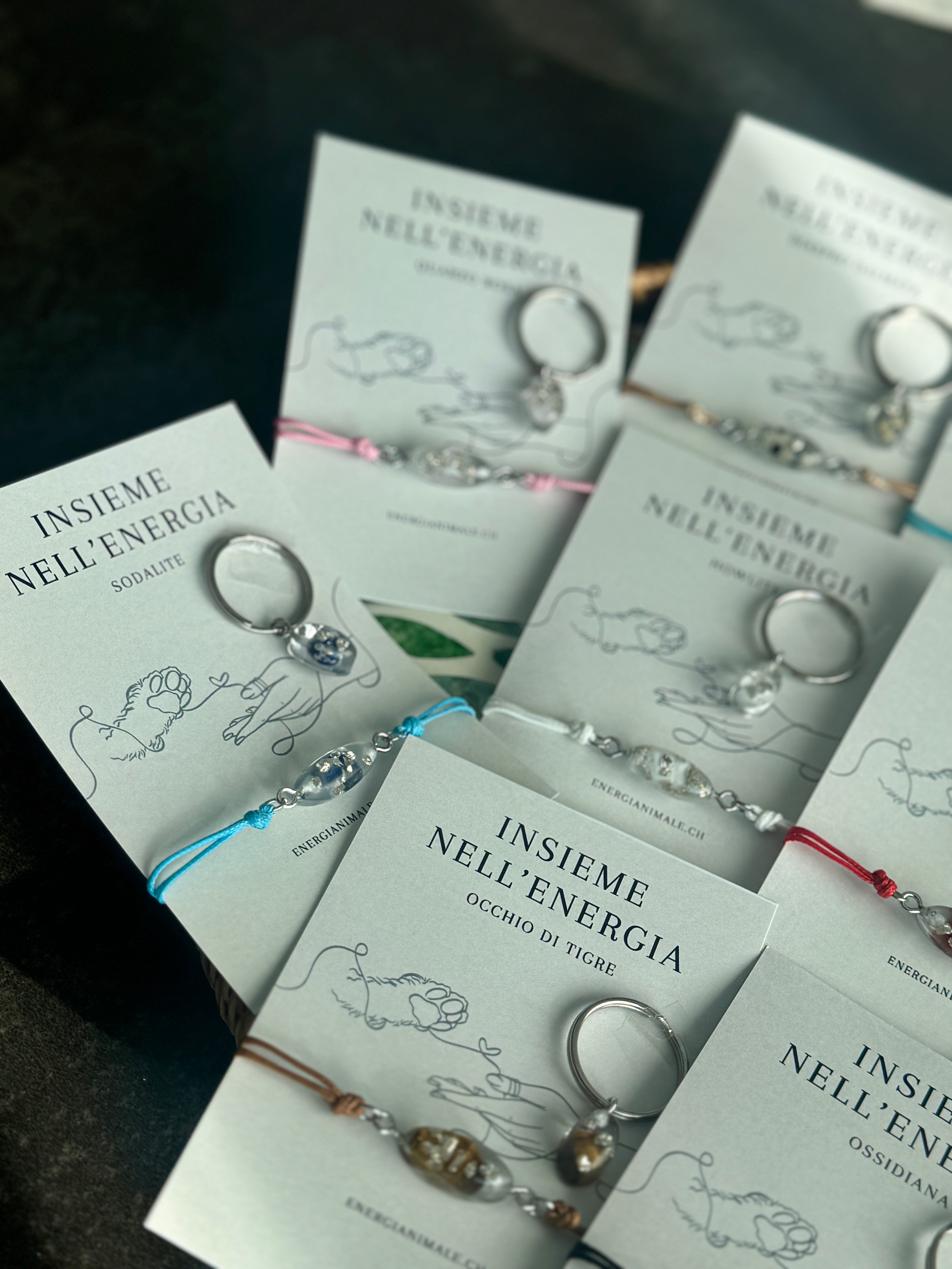 Insieme nell’Energia – Set umano & animale