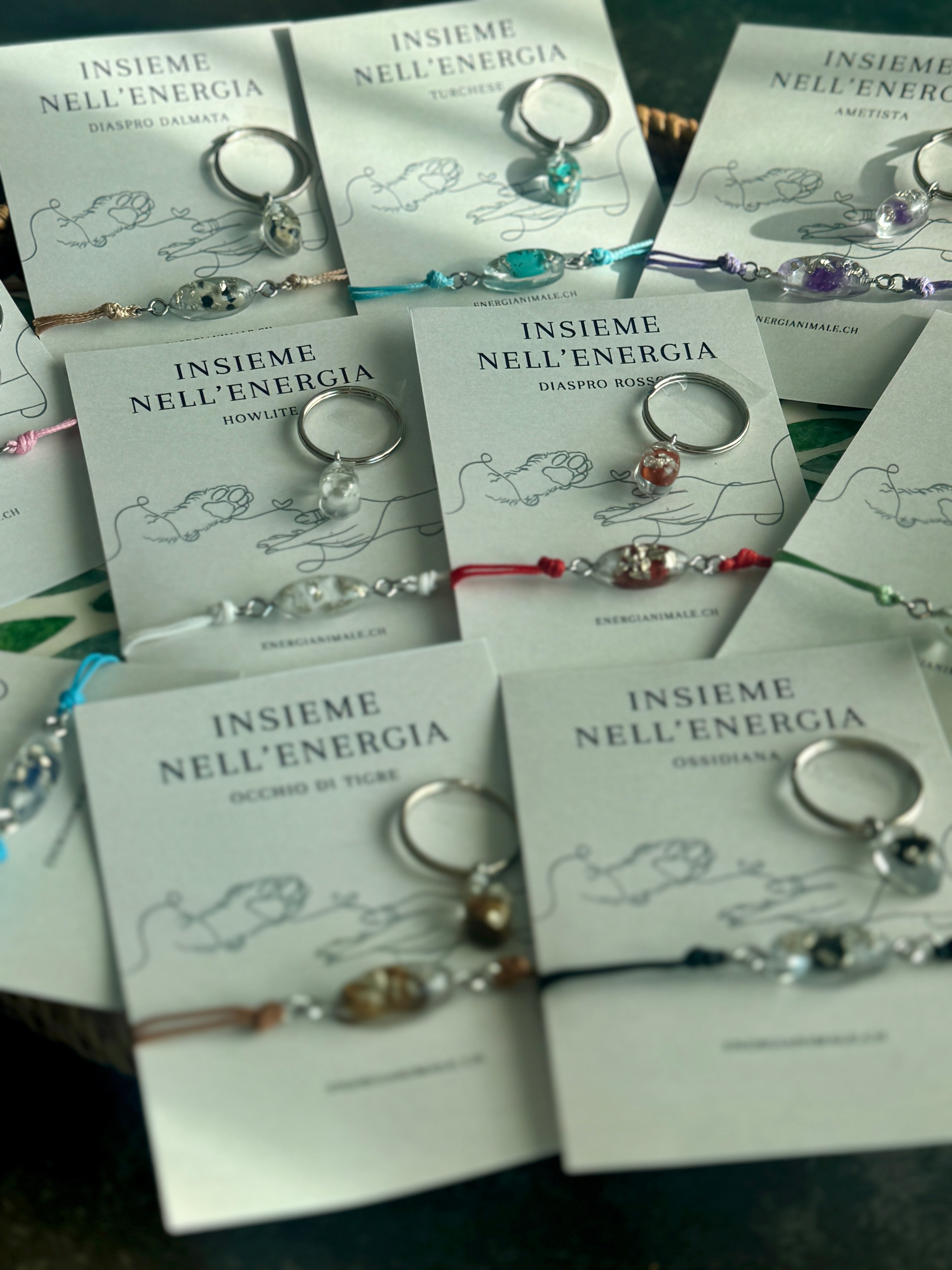 Insieme nell’Energia – Set umano & animale