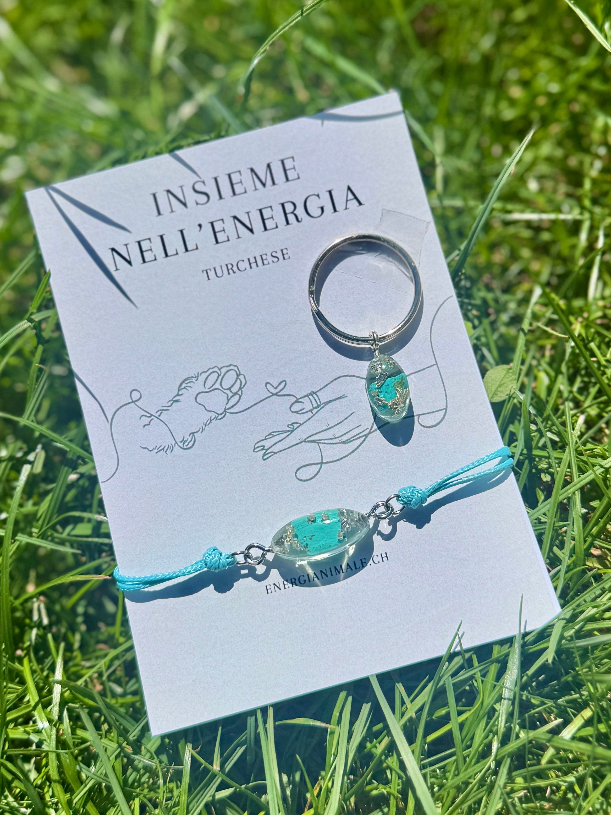 Insieme nell’Energia – Set umano & animale