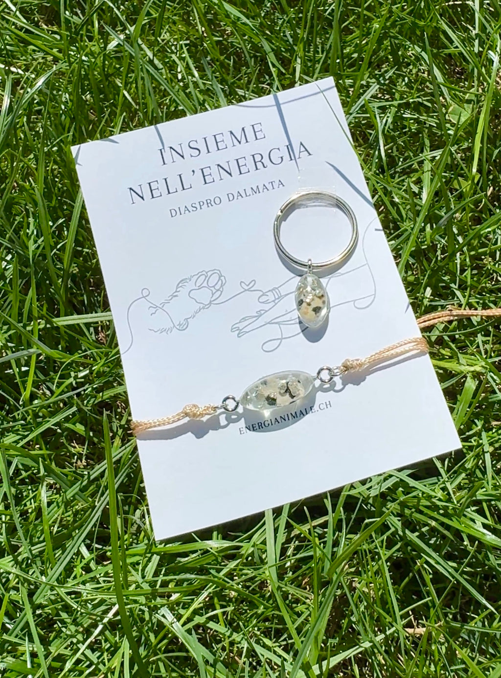 Insieme nell’Energia – Set umano & animale