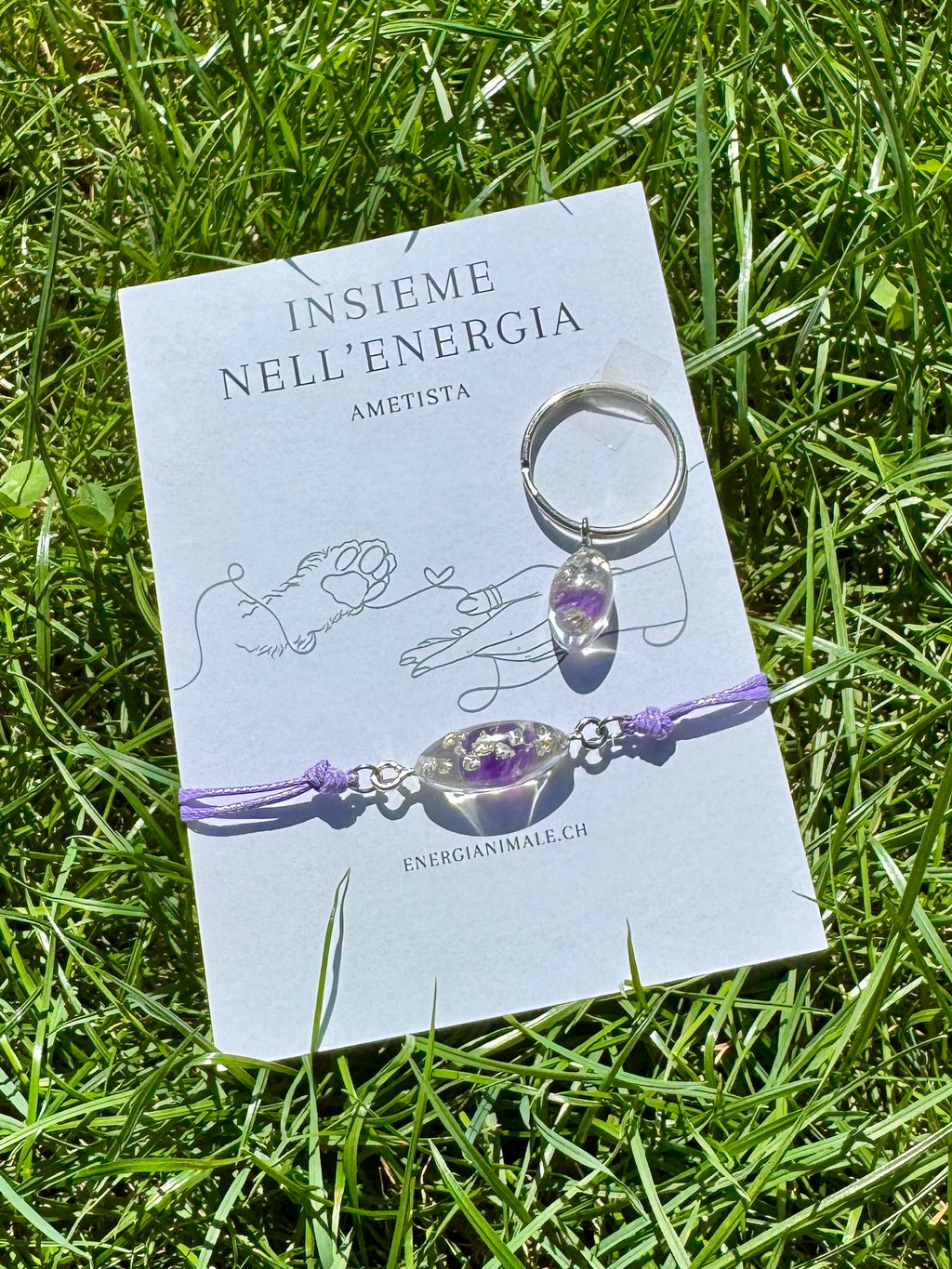 Insieme nell’Energia – Set umano & animale