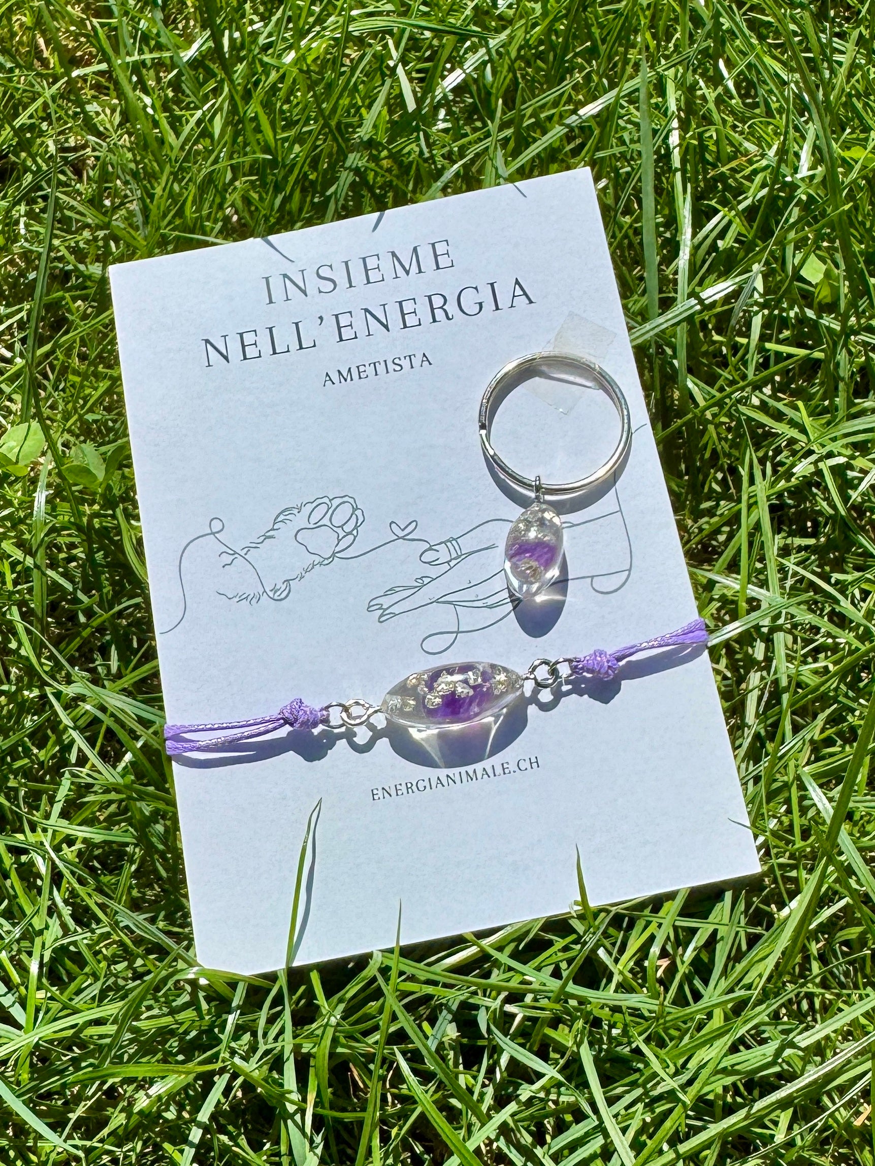 Insieme nell’Energia – Set umano & animale