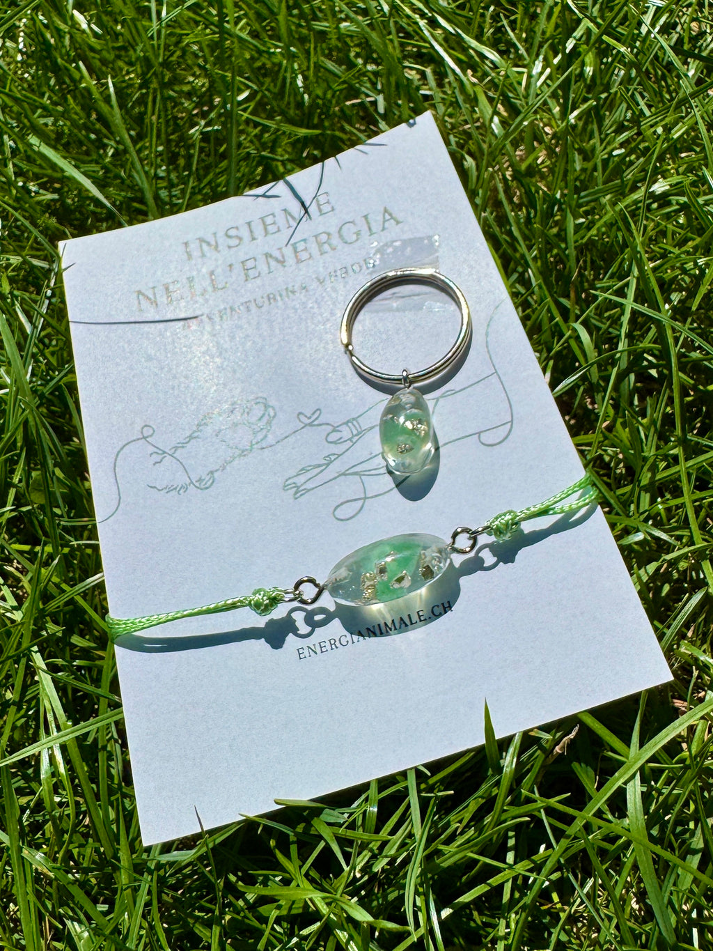 Insieme nell’Energia – Set umano & animale