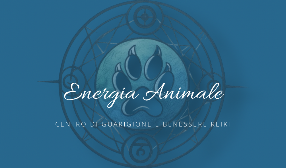 🌿 1 Seduta Reiki per animali 🌿 (a distanza)