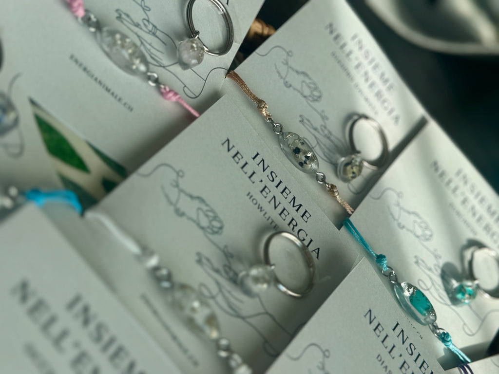 Insieme nell’Energia – Set umano & animale