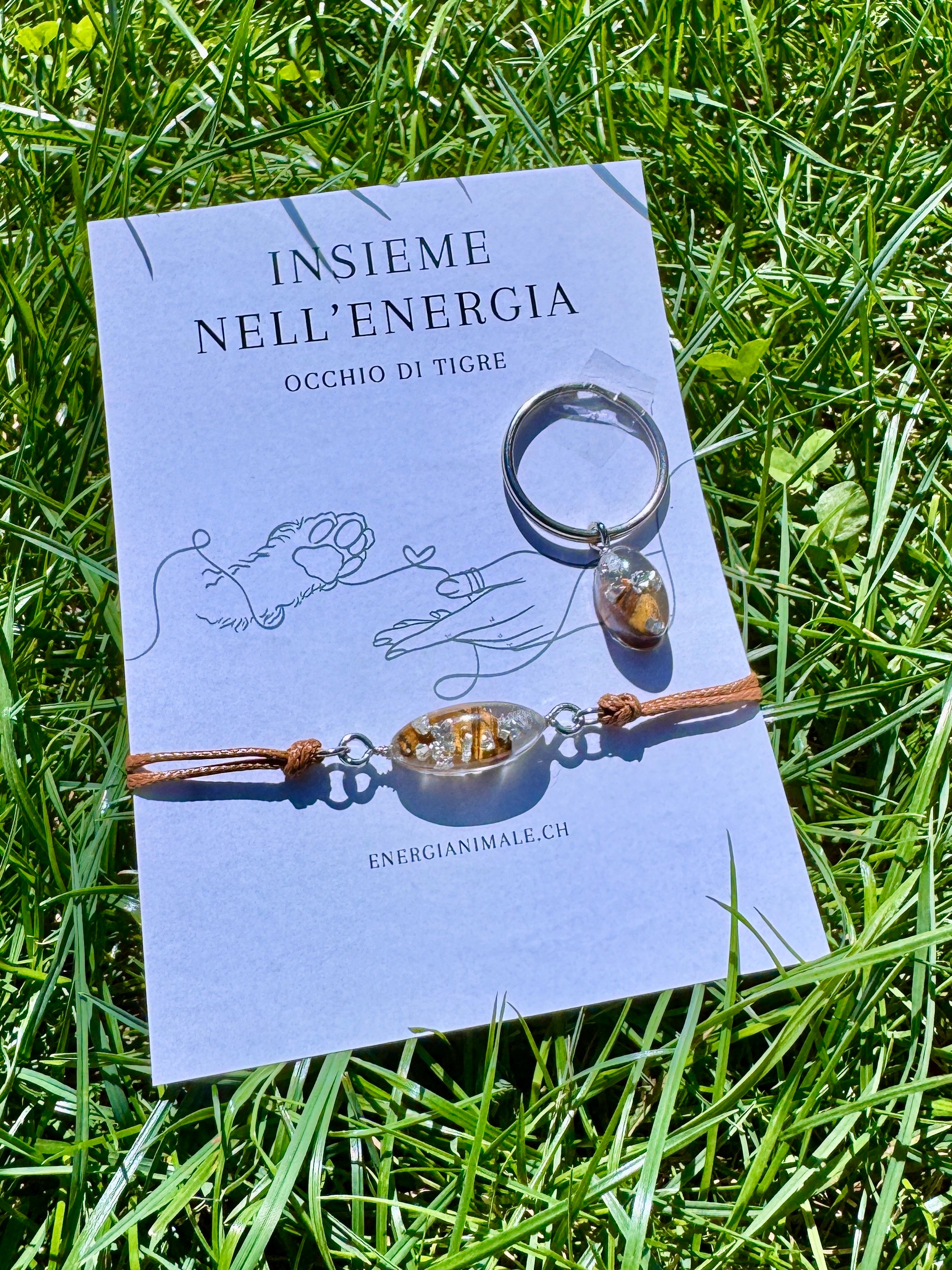 Insieme nell’Energia – Set umano & animale