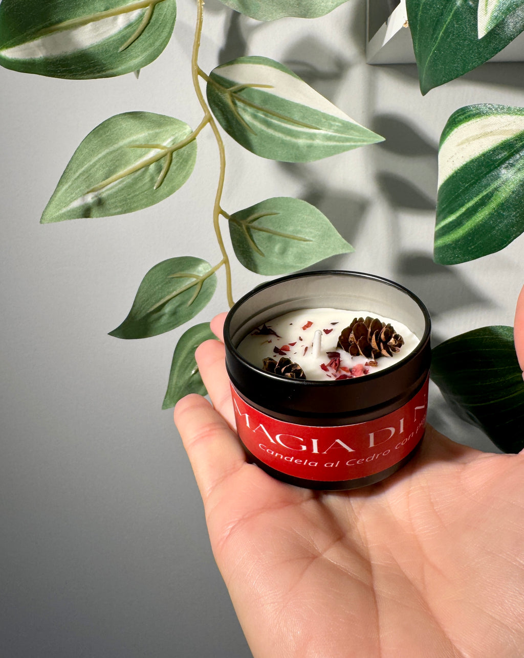 Candela Profumata al Cedro – Armonia e Calma Naturale
