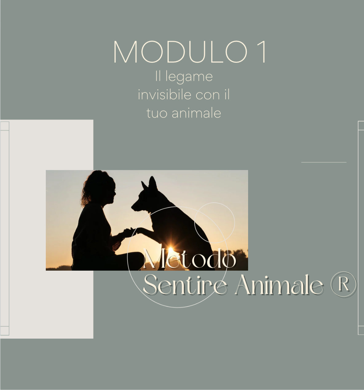 Metodo Sentire Animale® - MODULO 1