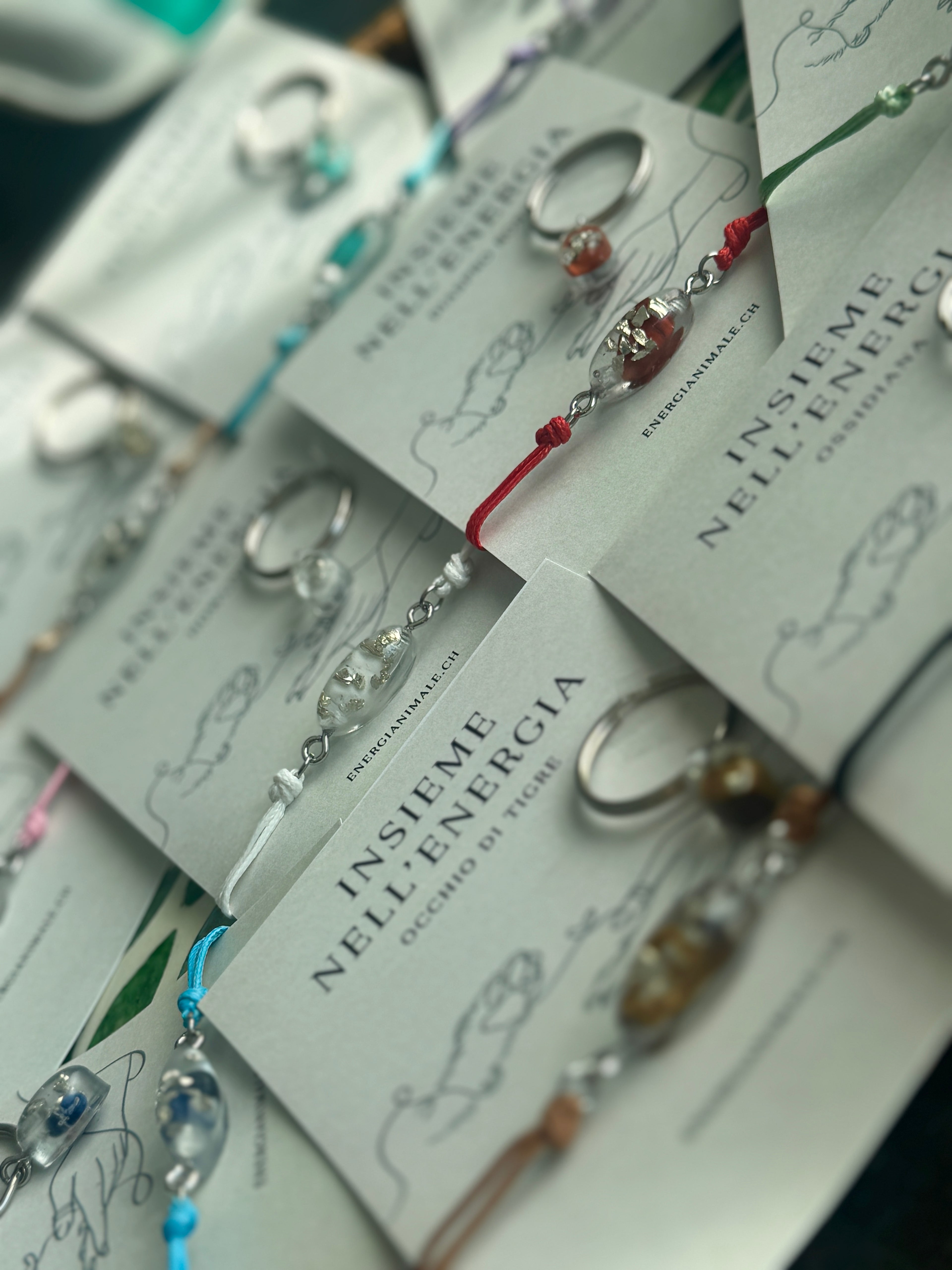 Insieme nell’Energia – Set umano & animale