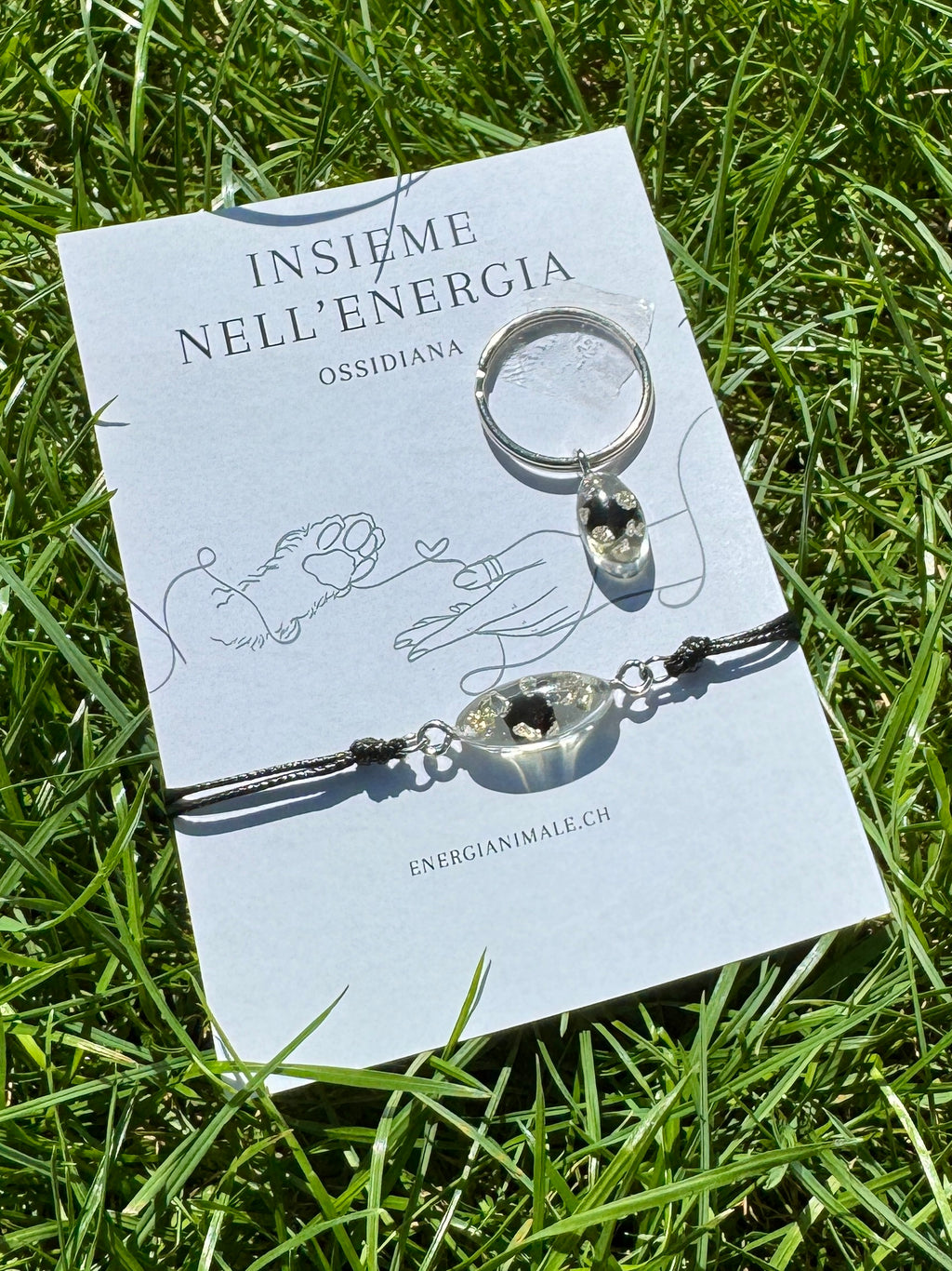 Insieme nell’Energia – Set umano & animale