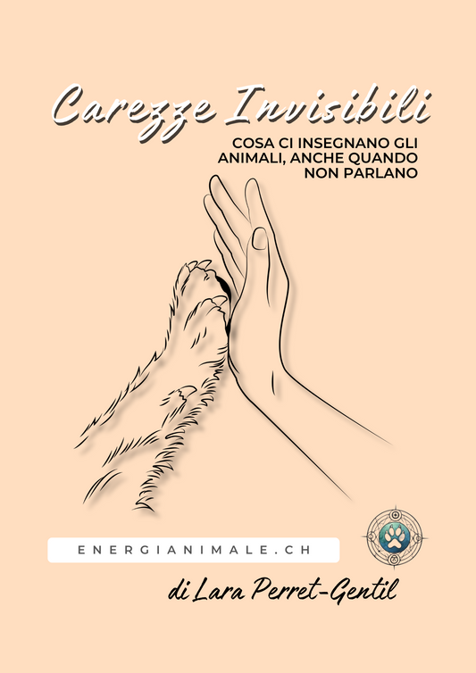 EBOOK - Carezze Invisibili