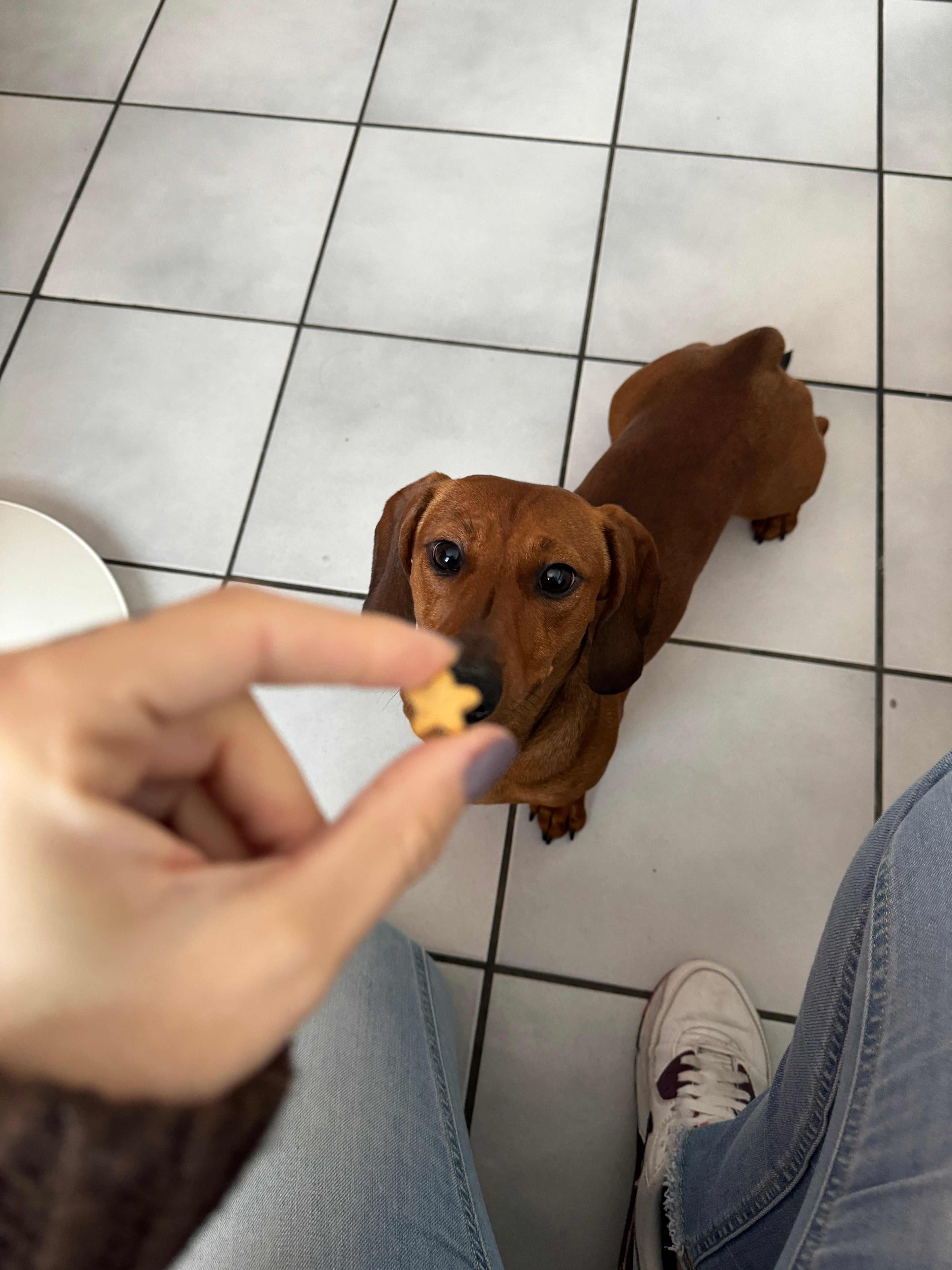 EnergiSnack - Banana