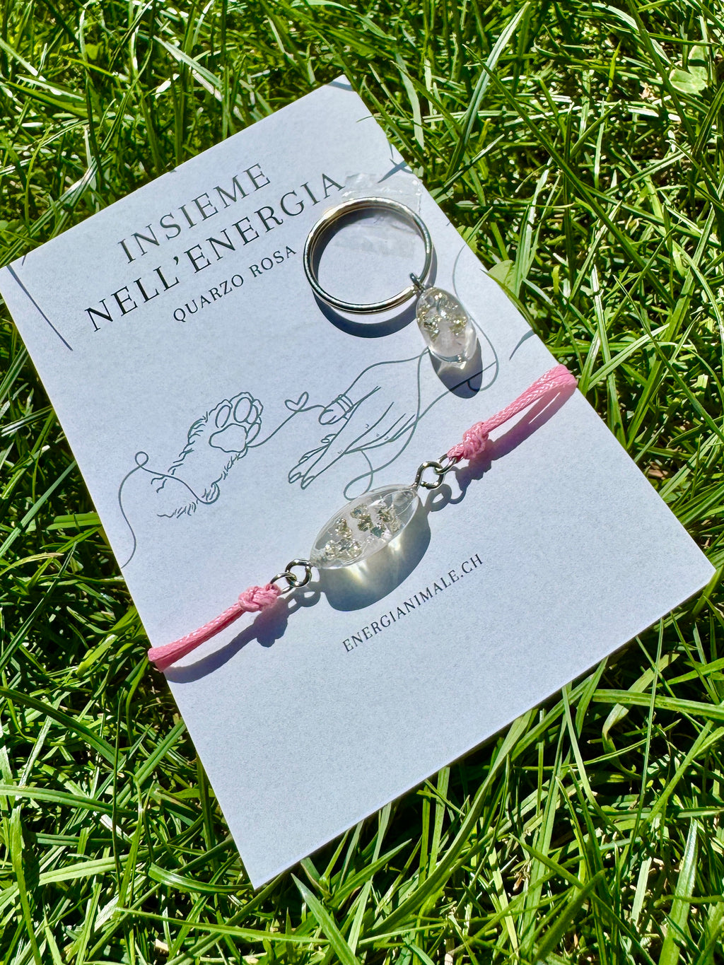 Insieme nell’Energia – Set umano & animale