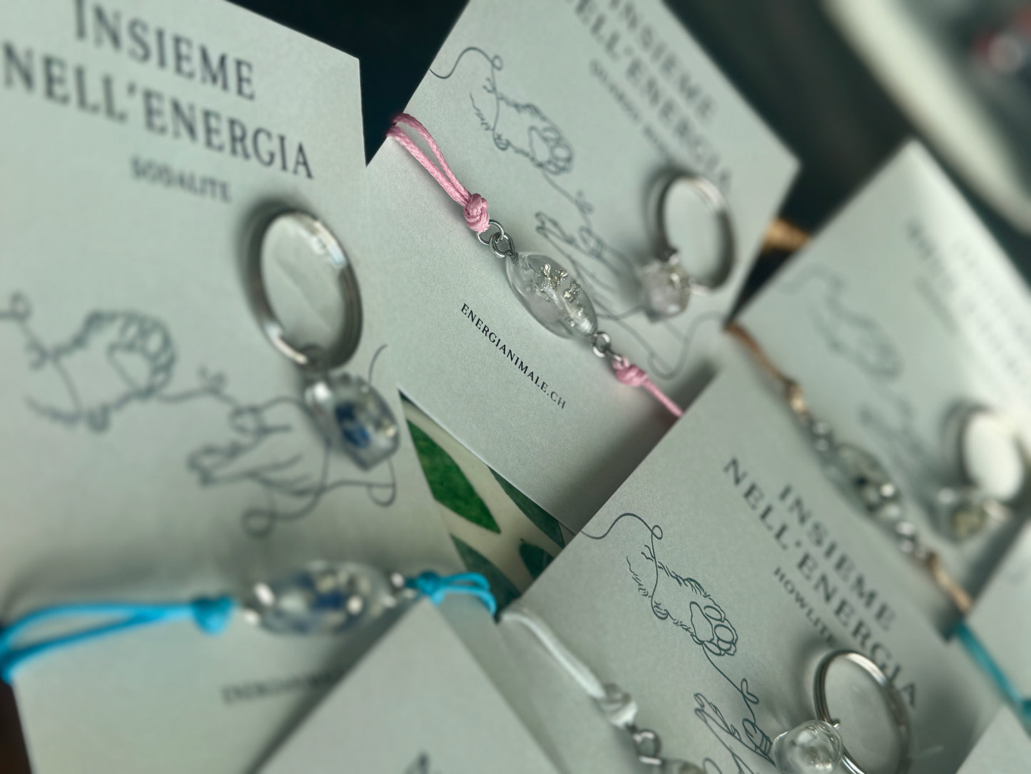 Insieme nell’Energia – Set umano & animale