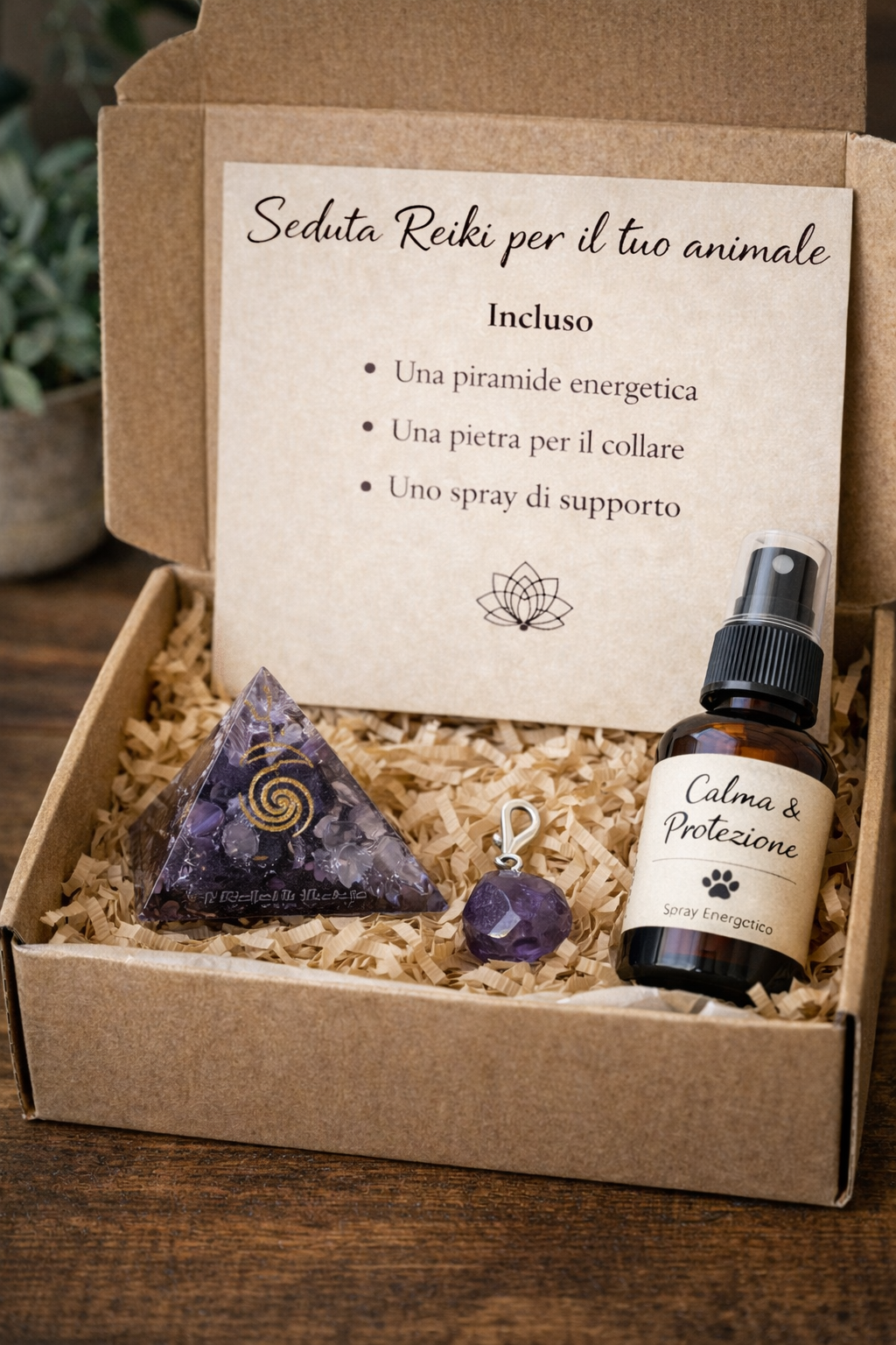 Seduta Reiki per Animali + Box di Supporto Energetico