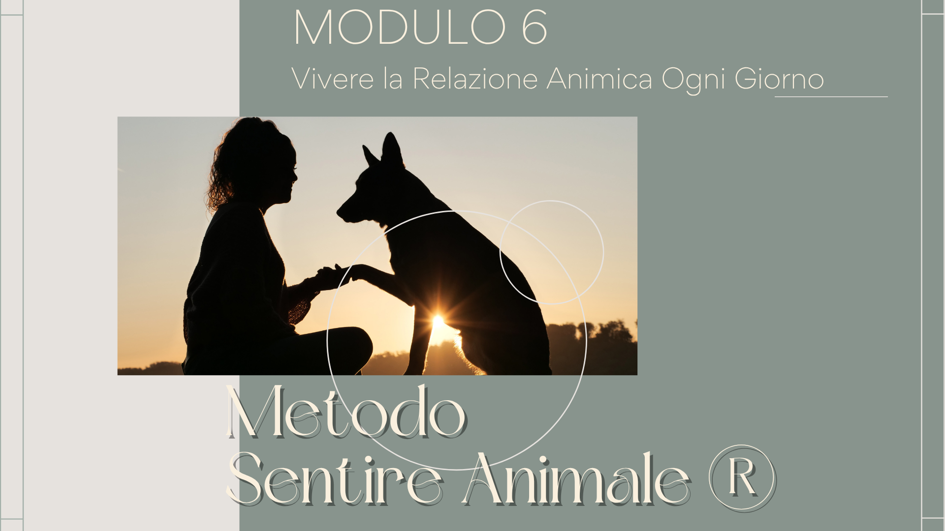 Metodo Sentire Animale® - MODULO 6