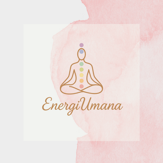 🌿 1 Seduta Reiki per umani🌿 (a distanza)