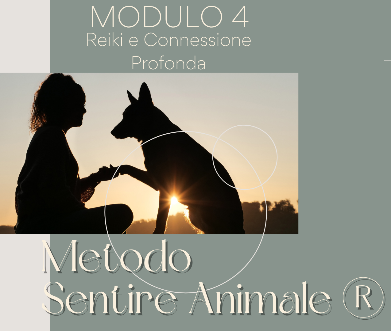 Metodo Sentire Animale® - MODULO 4
