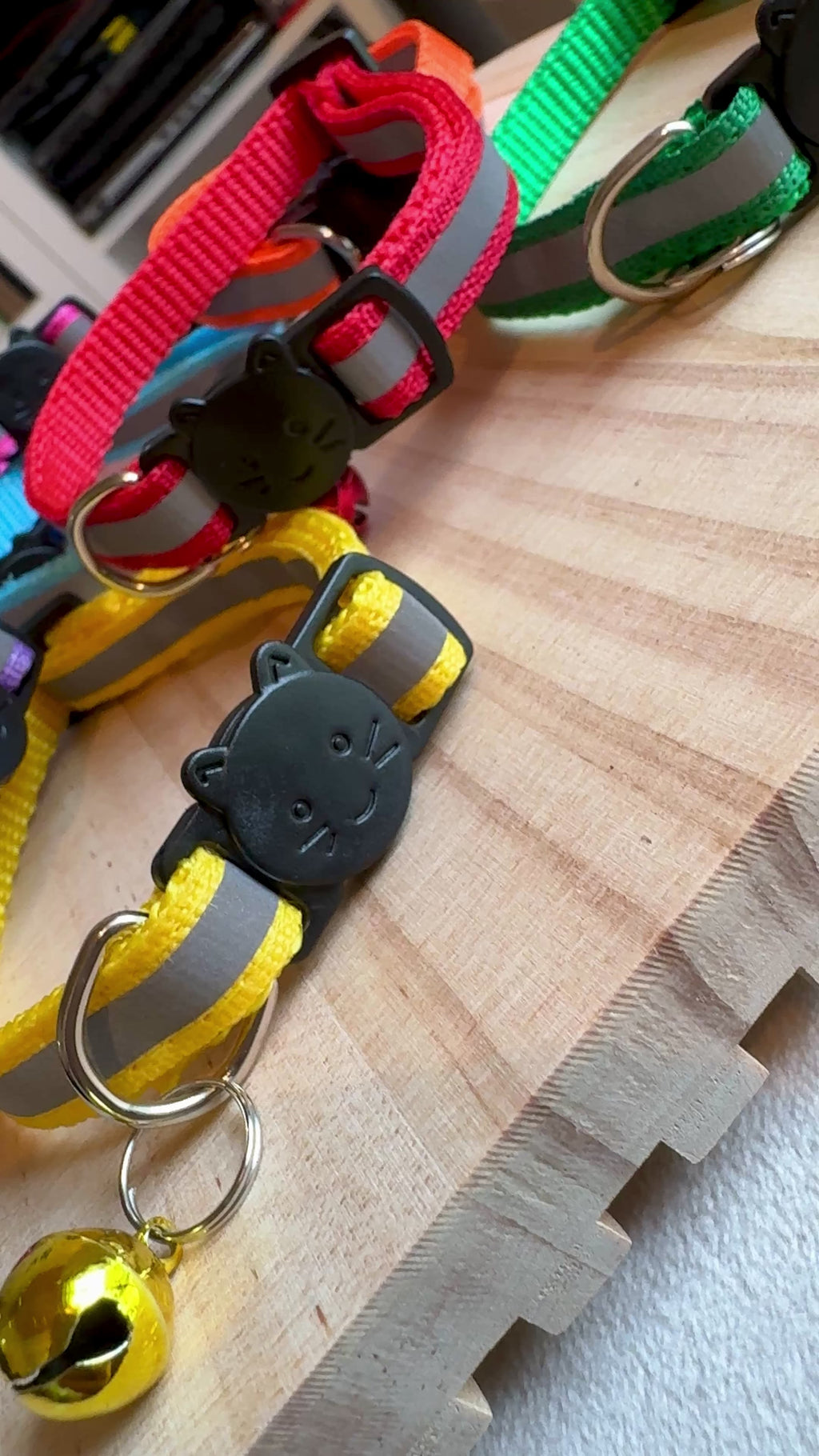 Collare per gatti catarifrangente con campanellino