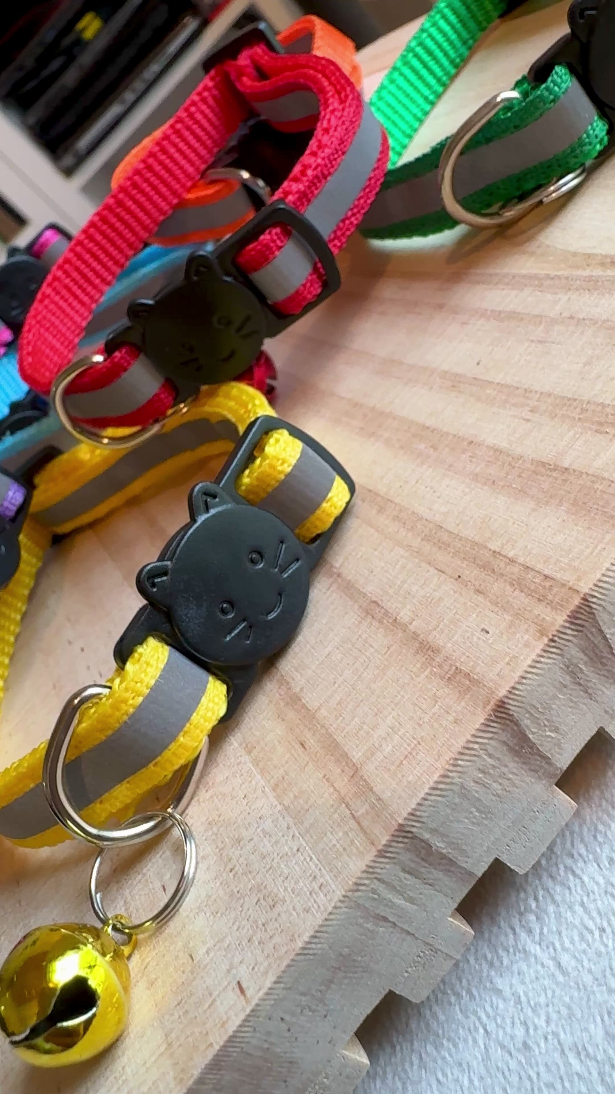 Collare per gatti catarifrangente con campanellino