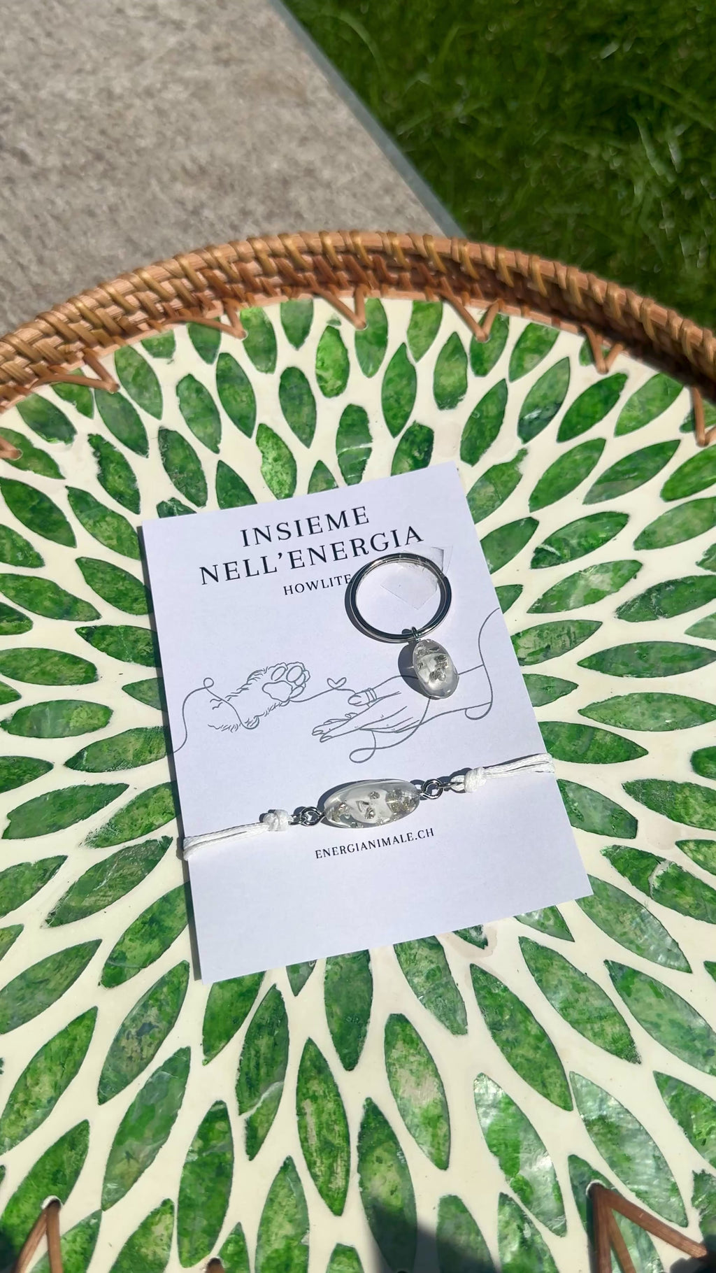 Insieme nell’Energia – Set umano & animale